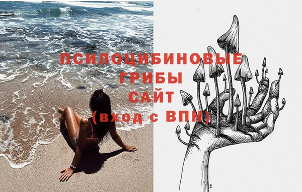 винт Верея